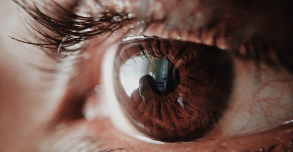 Usuarios de lentes de contato podem fazer extensao de cilios Usuários de lentes de contato podem fazer extensão de cílios?